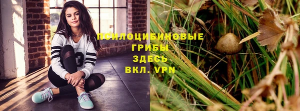 бошки Козловка