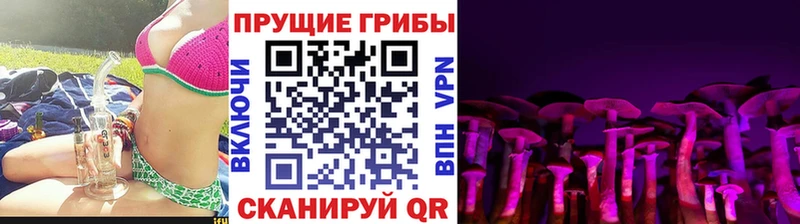 Псилоцибиновые грибы Cubensis  Купить закладки  Белебей 